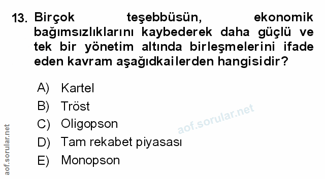 Soru 13