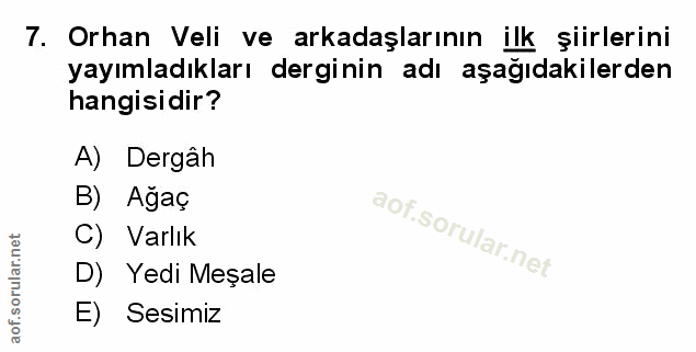 Soru 7