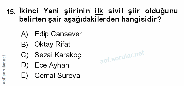 Soru 15