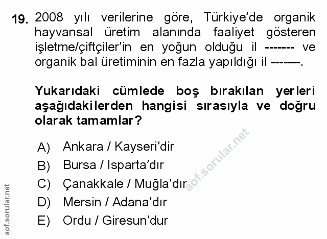 Soru 19