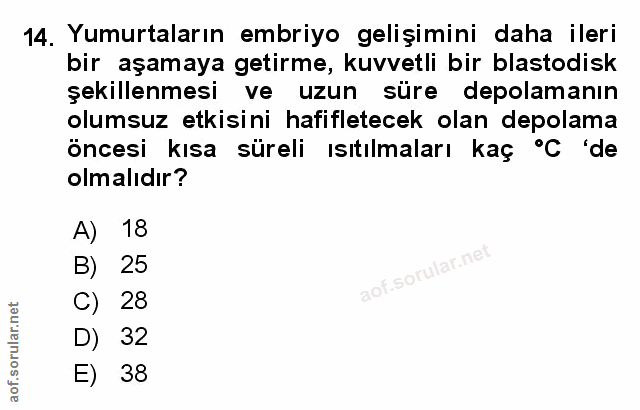 Soru 14
