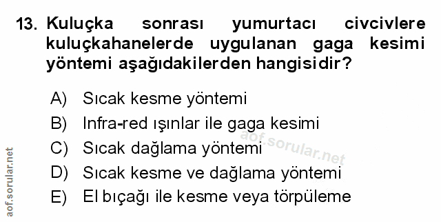 Soru 13