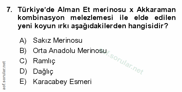 Soru 7