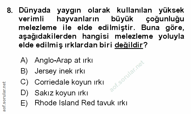 Soru 8
