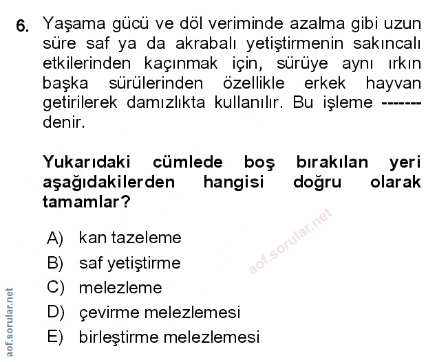 Soru 6