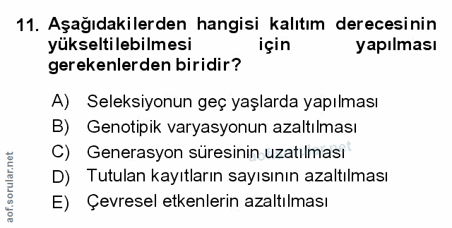 Soru 11