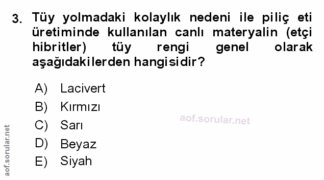 Soru 3