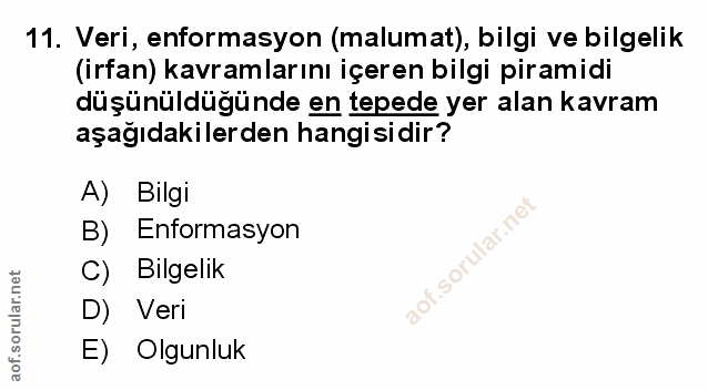 Soru 11