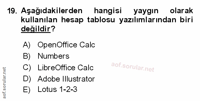 Soru 19