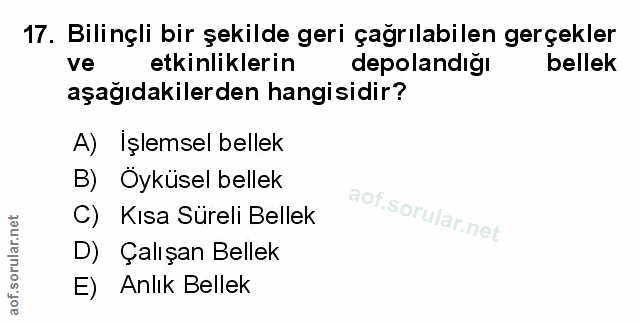 Soru 17