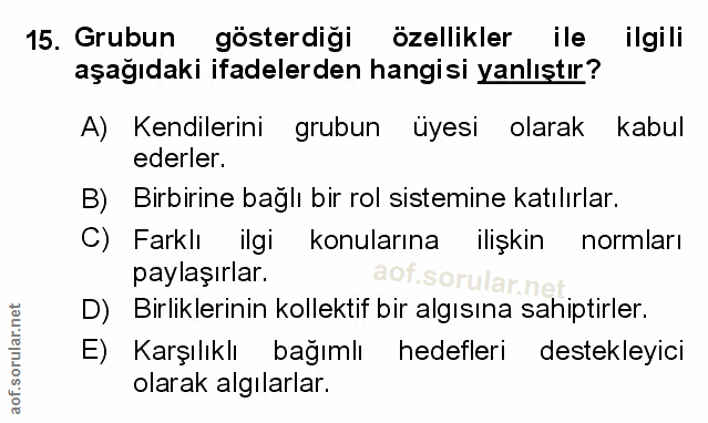 Soru 15