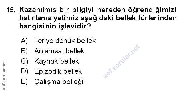 Soru 15