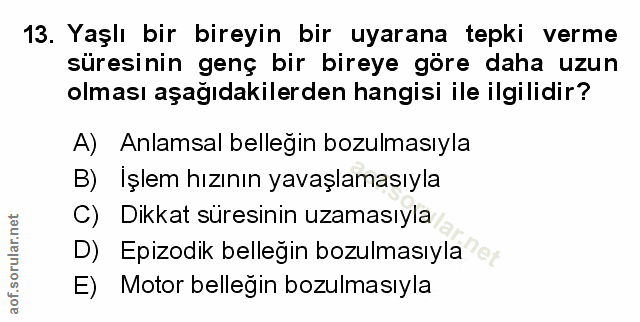 Soru 13