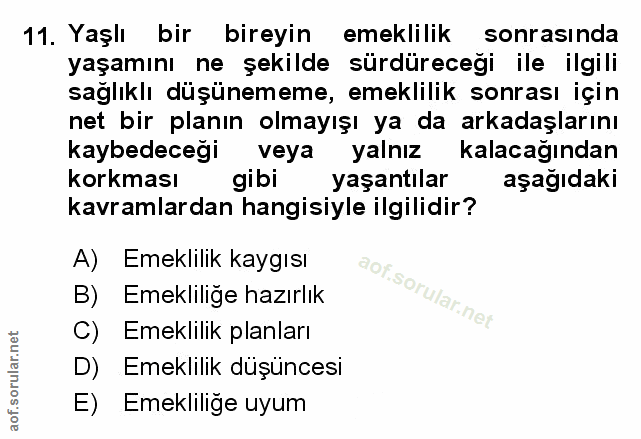 Soru 11