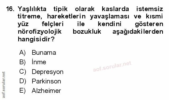 Soru 16