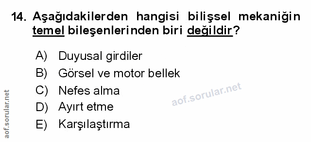 Soru 14