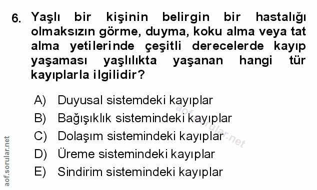 Soru 6
