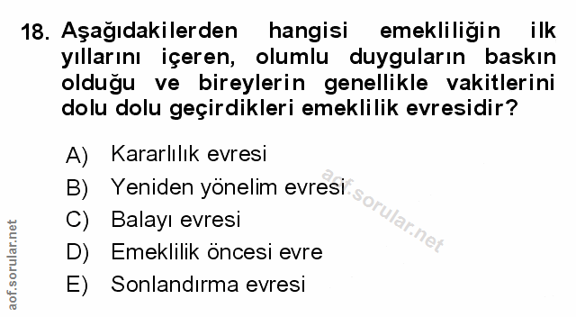 Soru 18