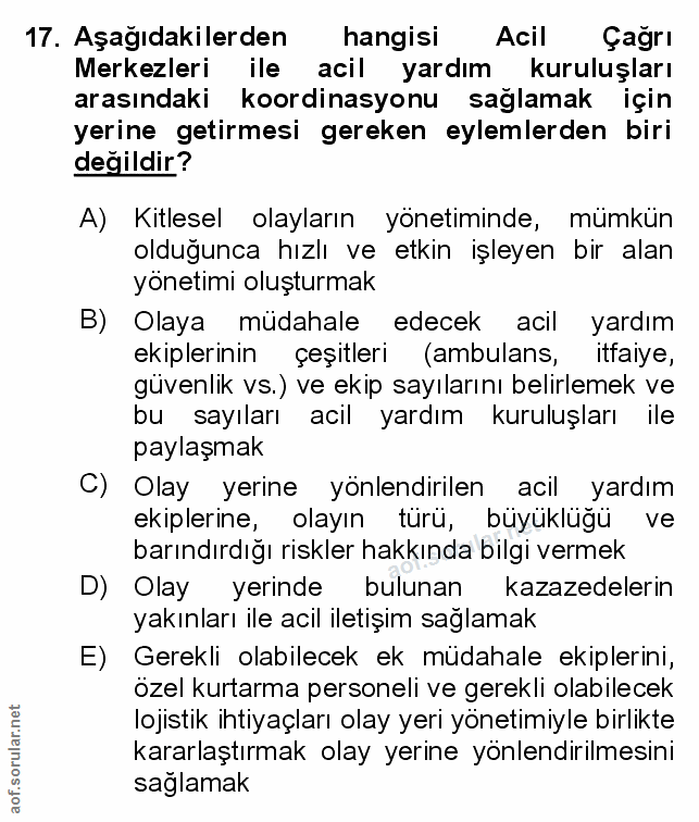 Soru 17