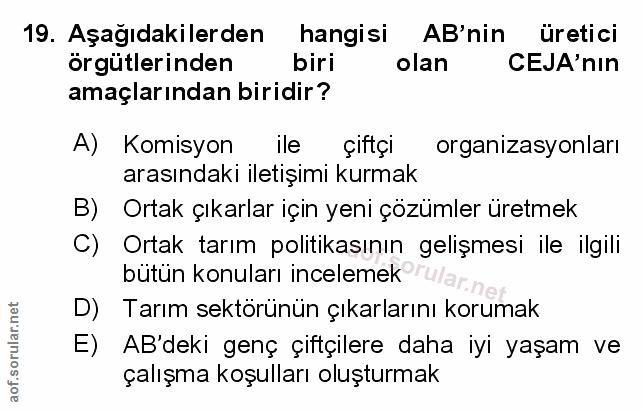 Soru 19