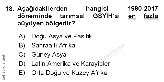 Soru 18