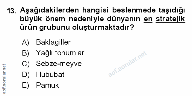 Soru 13