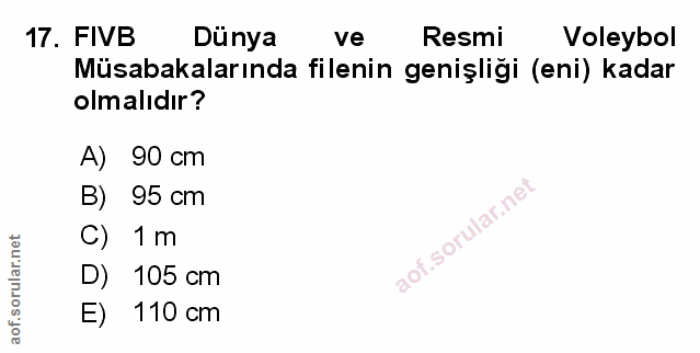Soru 17