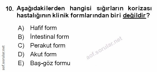 Soru 10