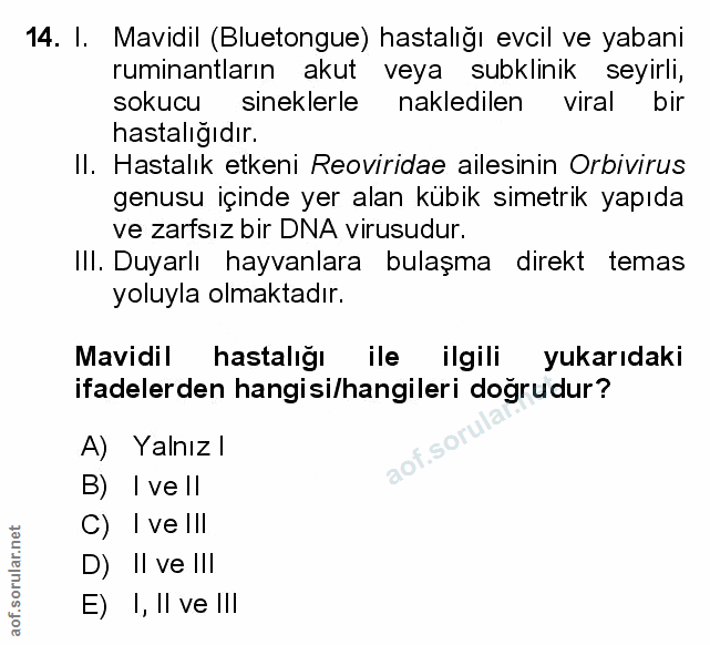 Soru 14