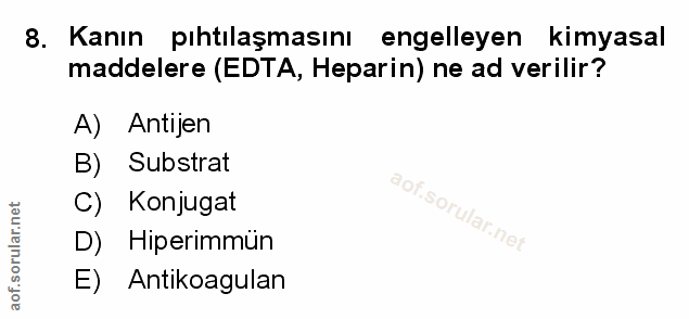 Soru 8