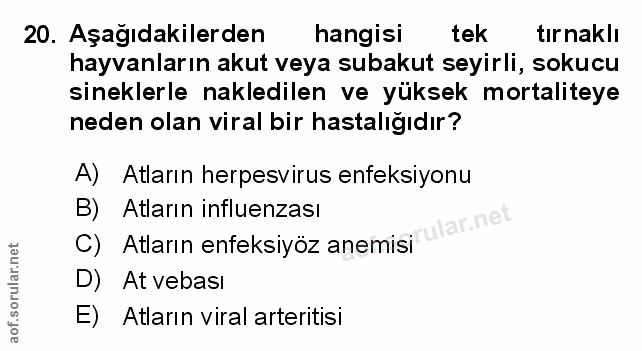 Soru 20