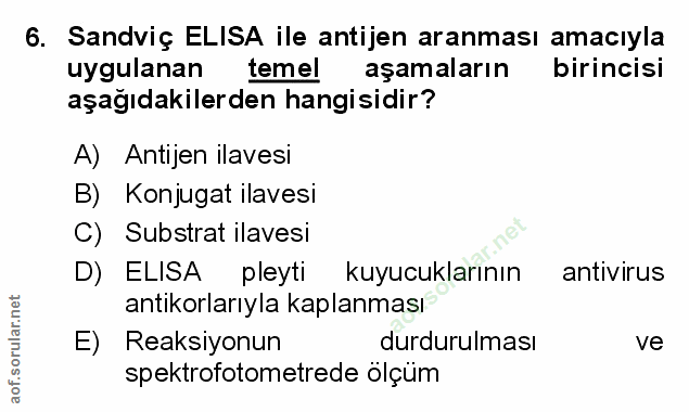 Soru 6