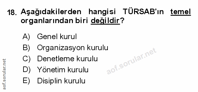 Soru 18