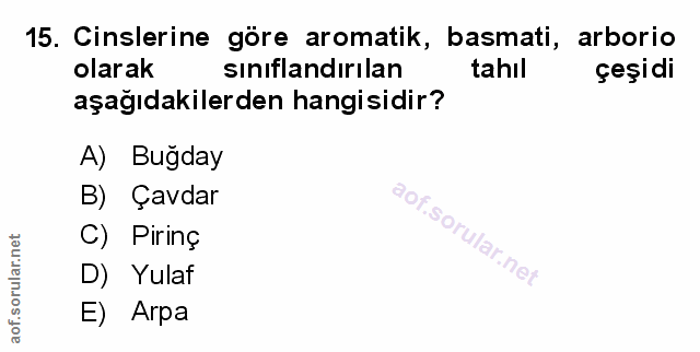 Soru 15