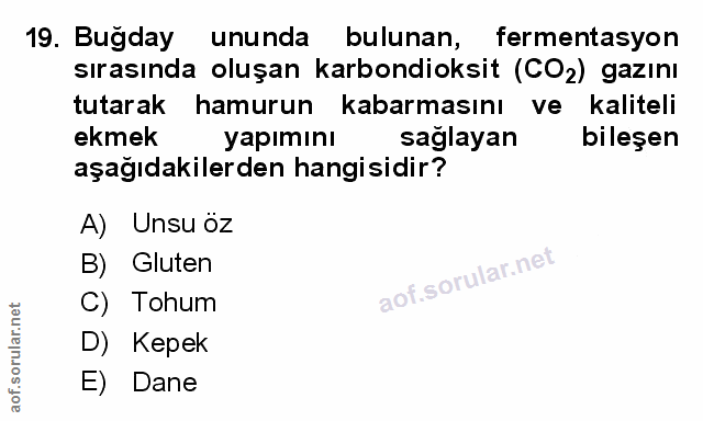 Soru 19