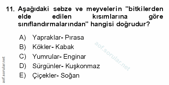 Soru 11