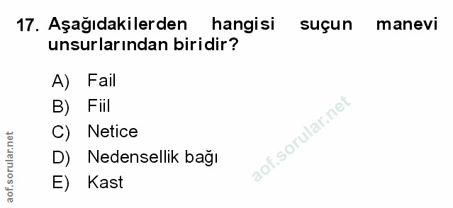 Soru 17