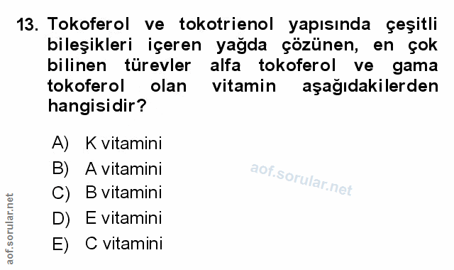 Soru 13