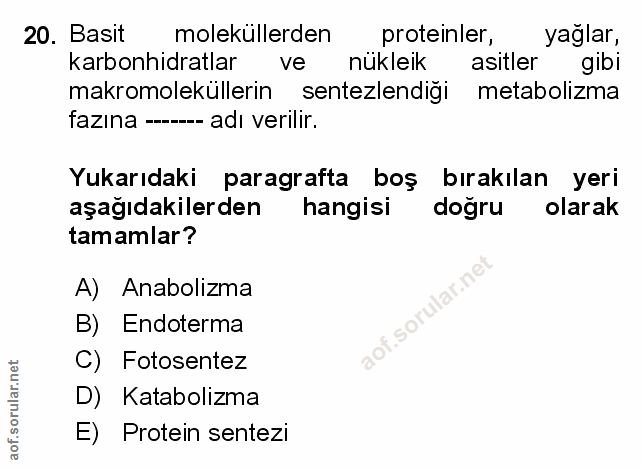 Soru 20