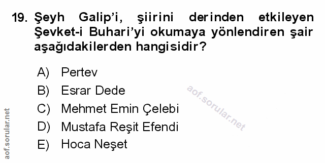 Soru 19