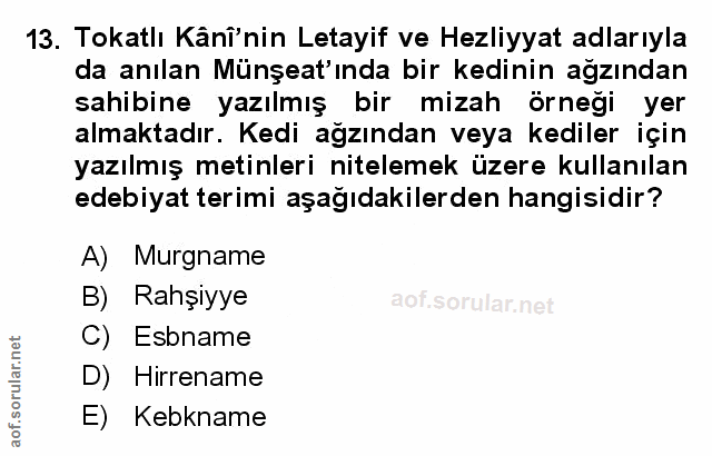 Soru 13