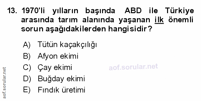 Soru 13