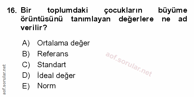 Soru 16