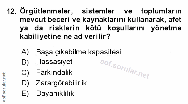 Soru 12