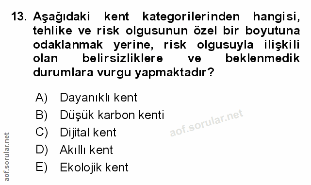 Soru 13
