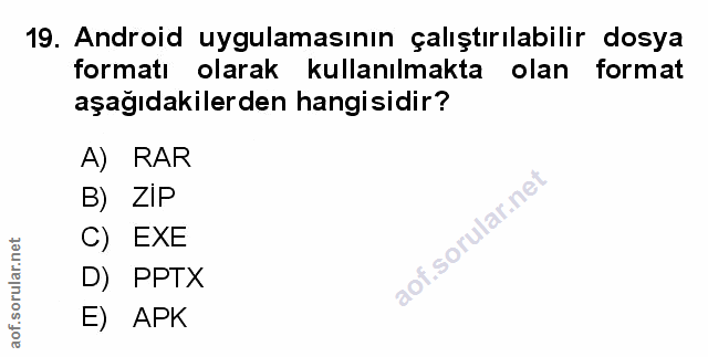 Soru 19