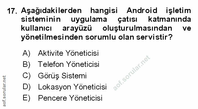 Soru 17