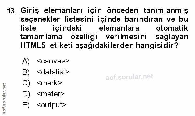Soru 13