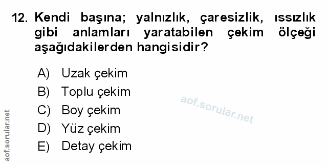 Soru 12