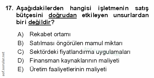 Soru 17